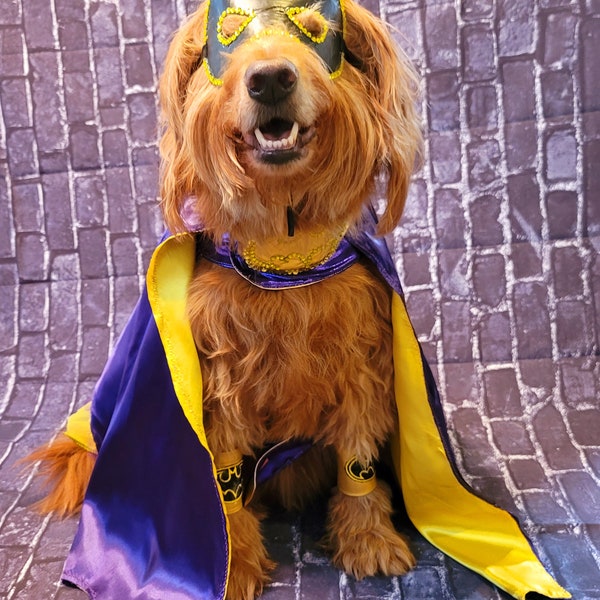 Batgirl pet costume, Batgirl dog costume, Batgirl cat costume, Batgirl pet cape, Batgirl Halloween costume, pet Batgirl, dog Batgirl costume