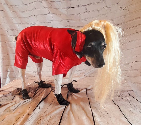 Britney Spears Pet Costume Replica, Oops I Did It Again Pet Costume, Pop  Singer Pet Costume, Dog Pop Singer, Britney Spears Dog Costume 