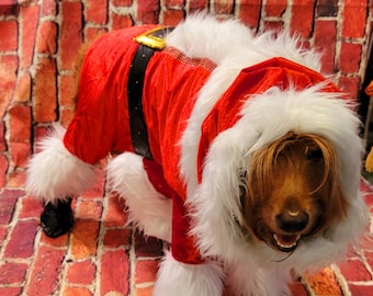 Pet Santa Costume, santa dog costume, santa full pet costume, santa cat costume, dog santa costume, Christmas pet costume, holiday pet