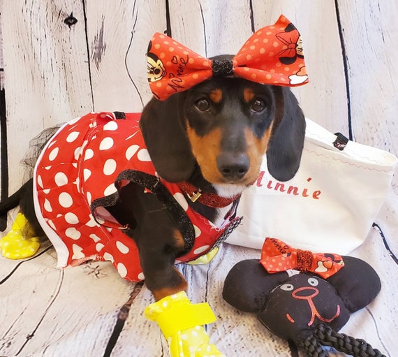 Minnie Mouse Costume, Minnie Mouse Costume Dress, Minnie Mouse Cat Dress  Costume, Red Polka Pet Dress, Red Polka Dot Dog Dress 