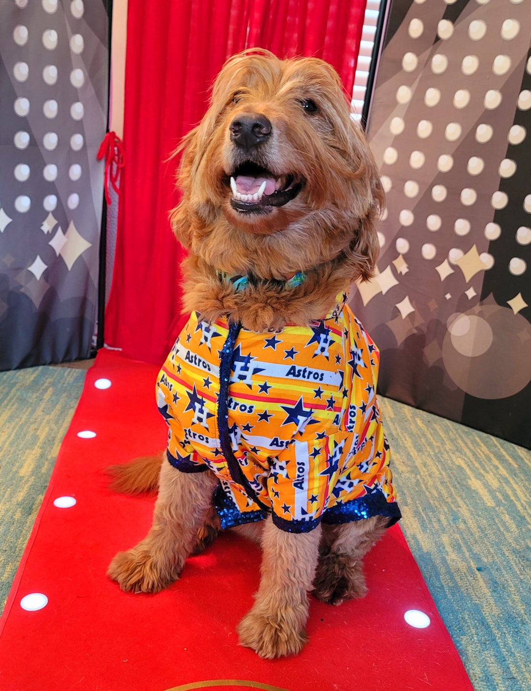 Houston Astros Pet Shirt Astros Pet Shirt Houston Astros Dog Etsy