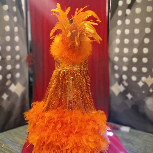 Kendall Jenner Pet Costume, Mutt gala pet costume, orange feather pet dress, orange feather dog dress, mutt gala dog dress, red carpet pet