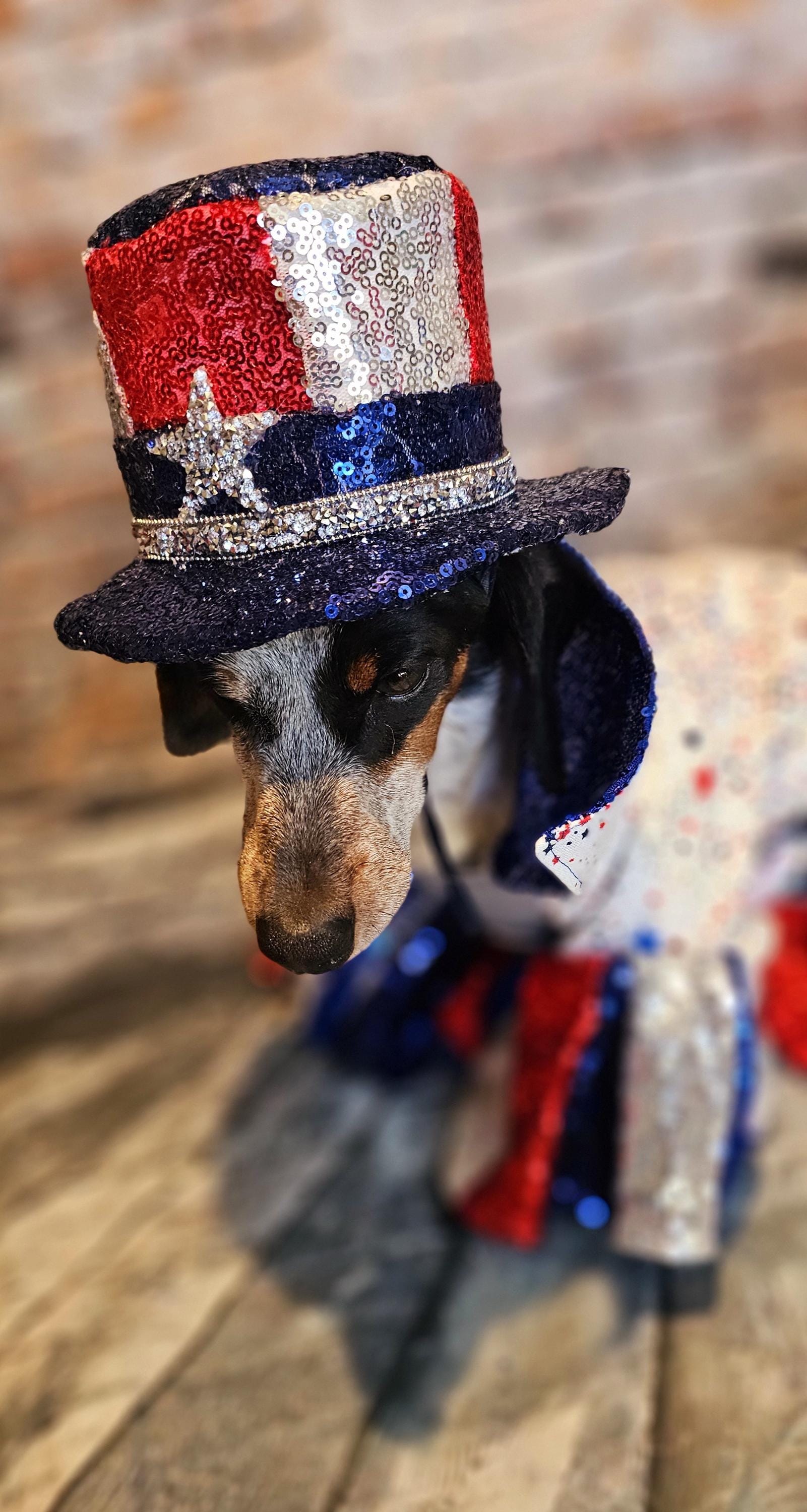 Cat Outfits Patiotic 4th Of July Dog Outfits And Pet