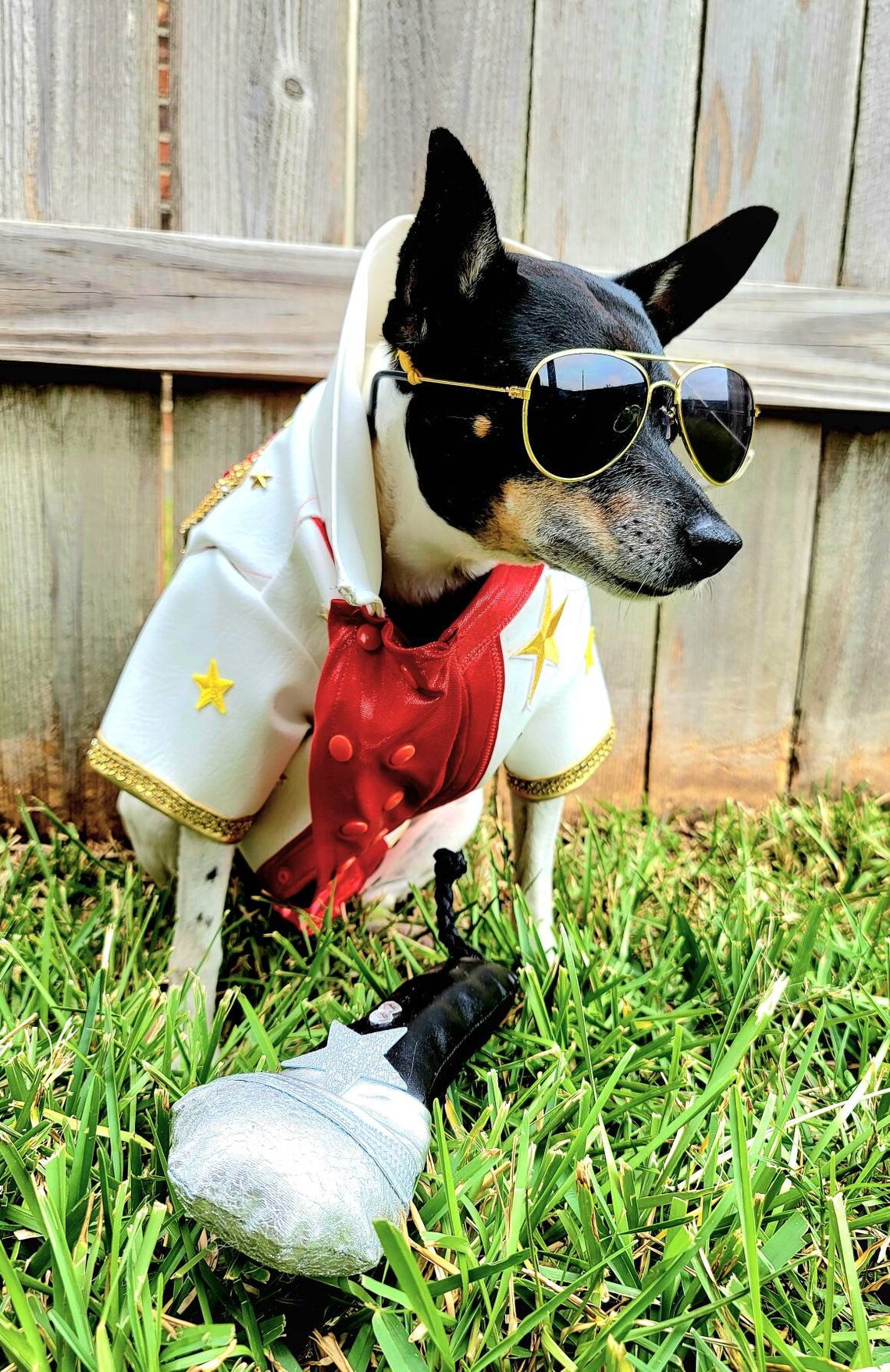 Elvis Pet Costume the King Pet Costume Elvis Dog Costume Etsy