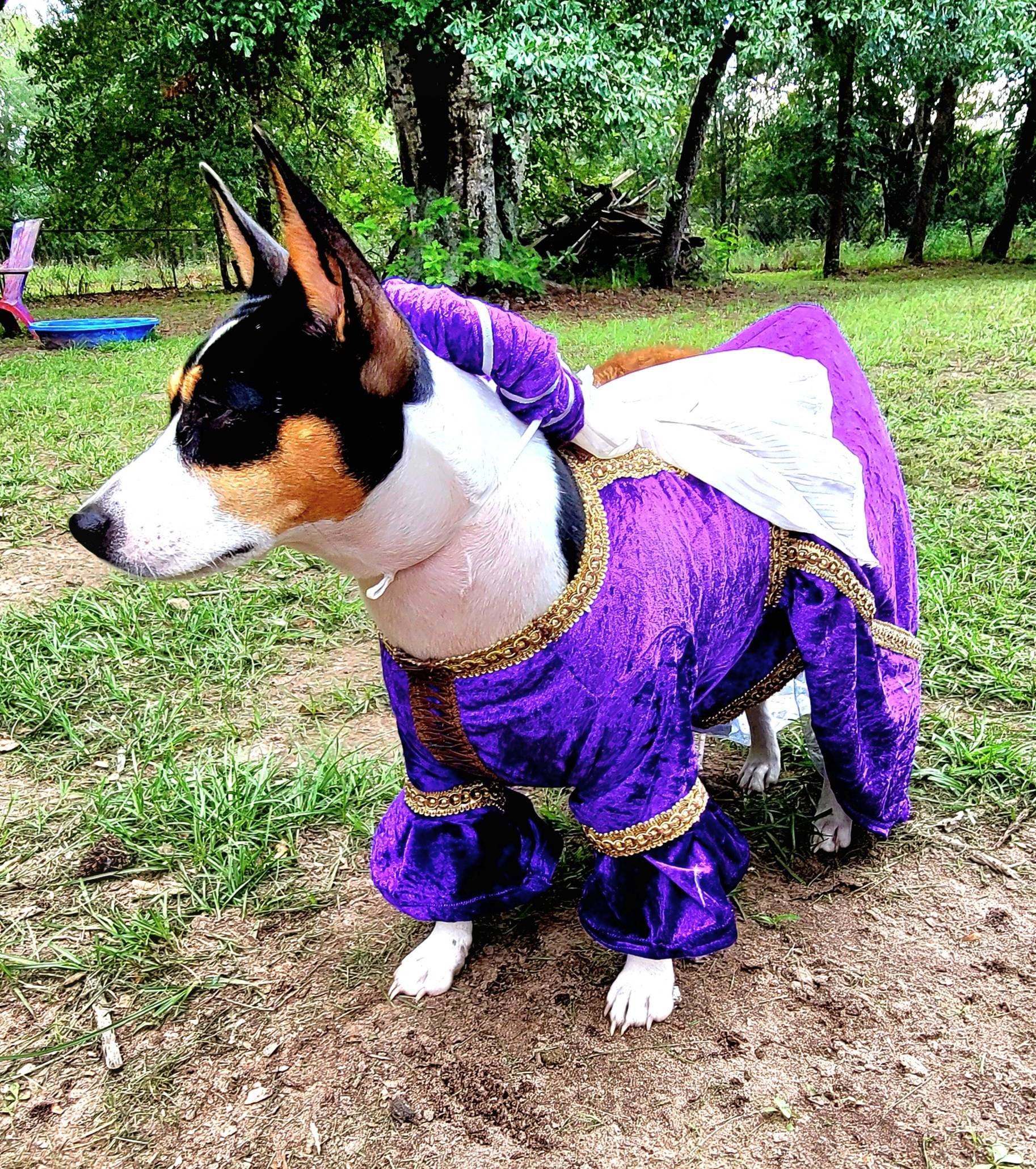Dog top gypsy costume