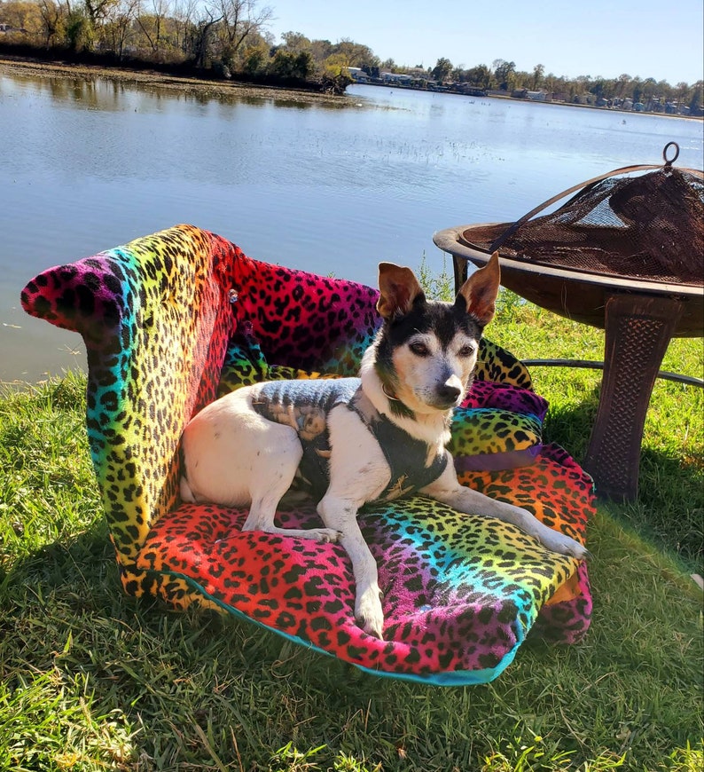 Pet Chaise Lounge Rainbow Chaise Bed Pet Chaise Bed Dog Etsy