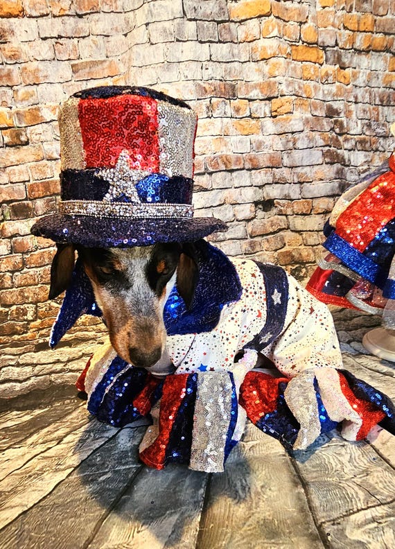 Dog Costume Tutu BESPORTBLE 1set Puppy Independence Day Costume