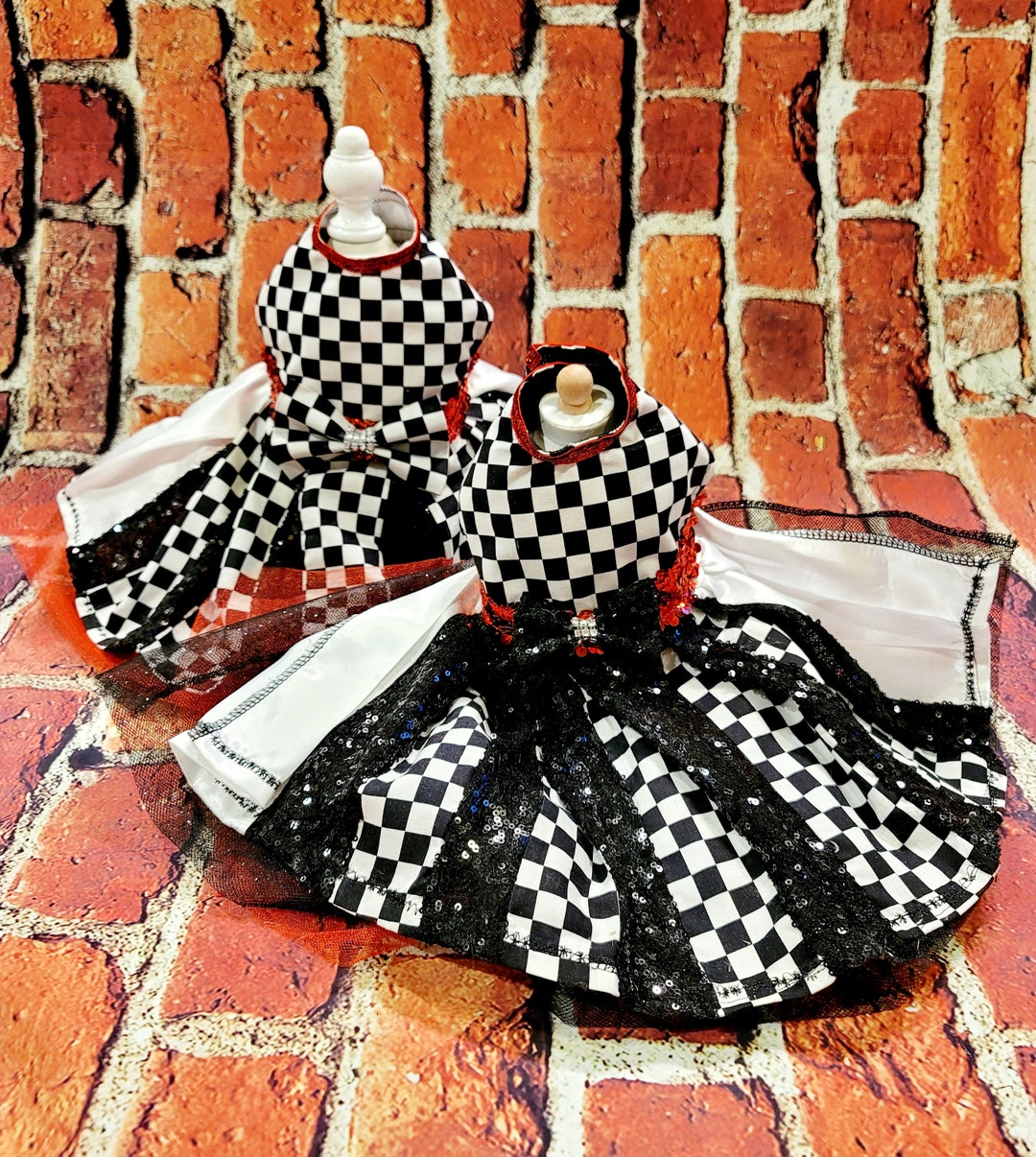 Racer Pet Costume Racer Dog Costume Race Car Driver Pet Etsy