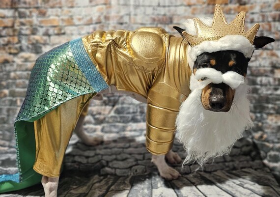 King Triton Pet Costume King Triton Dog Costume Sea King Pet Costume Male Mermaid Pet Costume Sea King Dog Costume Male Mermaid Dog Etsy Canada