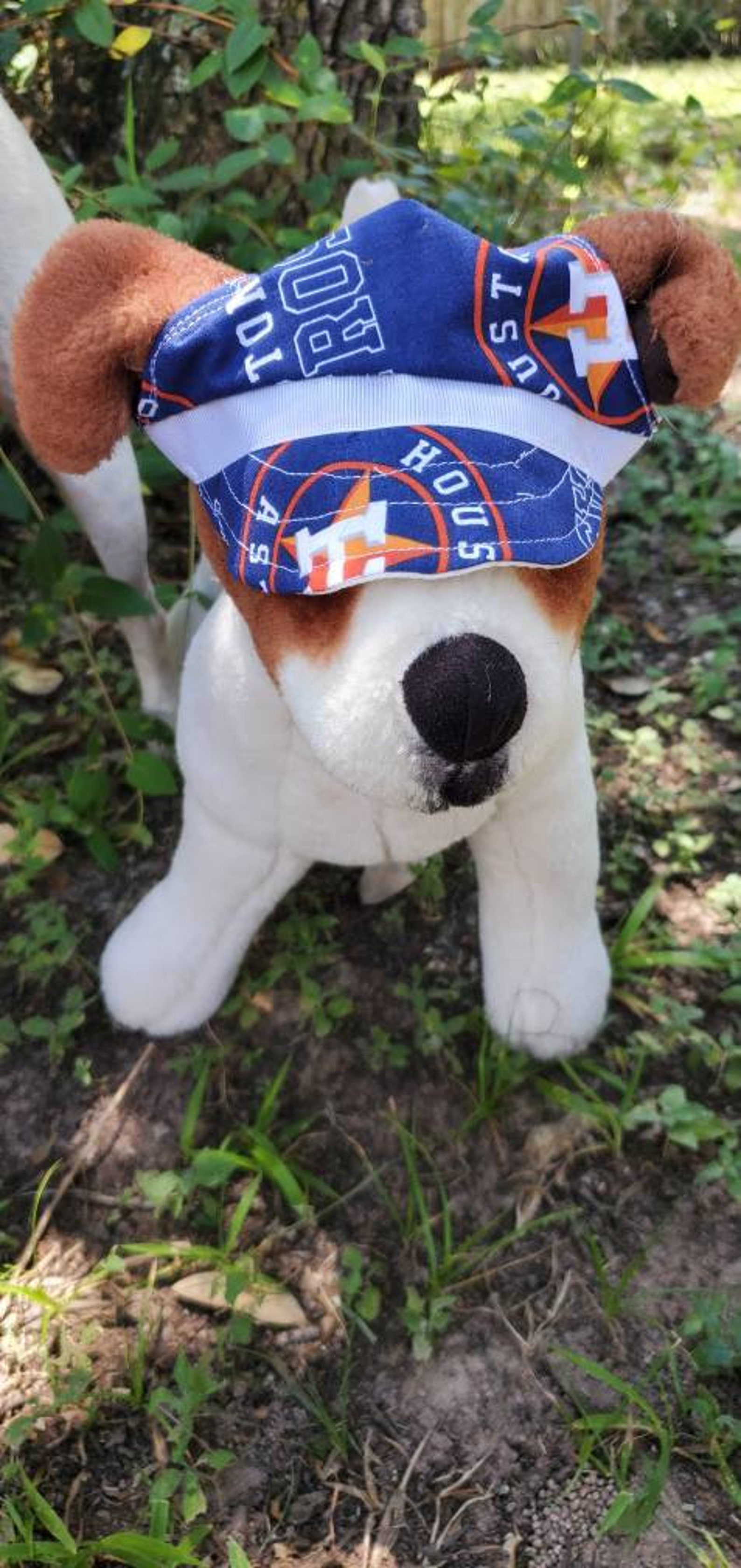 Houston Astro Pet Hat Astros Dog Hat Astros Cat Hat Astros Etsy UK