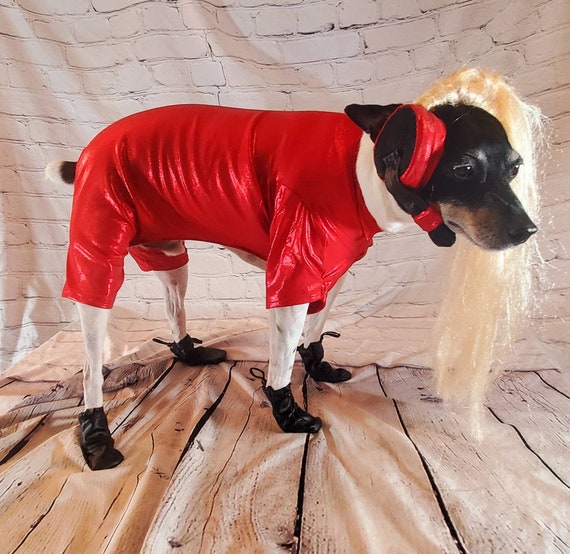 Britney Spears Pet Costume Replica, Oops I Did It Again Pet Costume, Pop  Singer Pet Costume, Dog Pop Singer, Britney Spears Dog Costume 