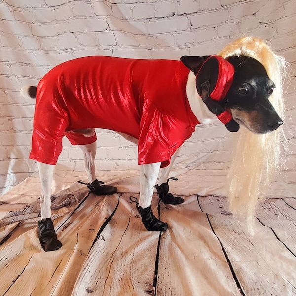 Britney Spears pet costume replica, oops I did it again pet costume, pop singer pet costume, dog pop singer, Britney Spears dog costume