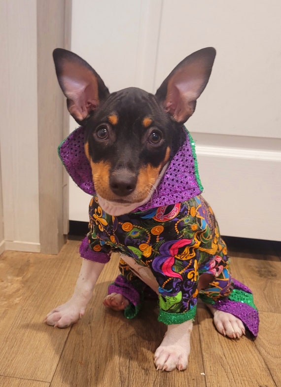 Mardi Gras Male Pet Outfit Mardi Gras Pet Body Suit Fat Tuesday Dog Costume Mardi Gras Dog Costume Mardi Gras Cat Mardi Gras Suit Etsy