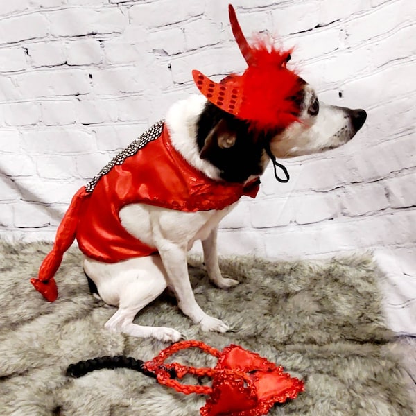 Devil male Pet Costume, Devil Pet Harness, Devil dog Costume, Devil Cat Costume, Halloween Devil Costume, Halloween Pet Costume, Diablo Pet