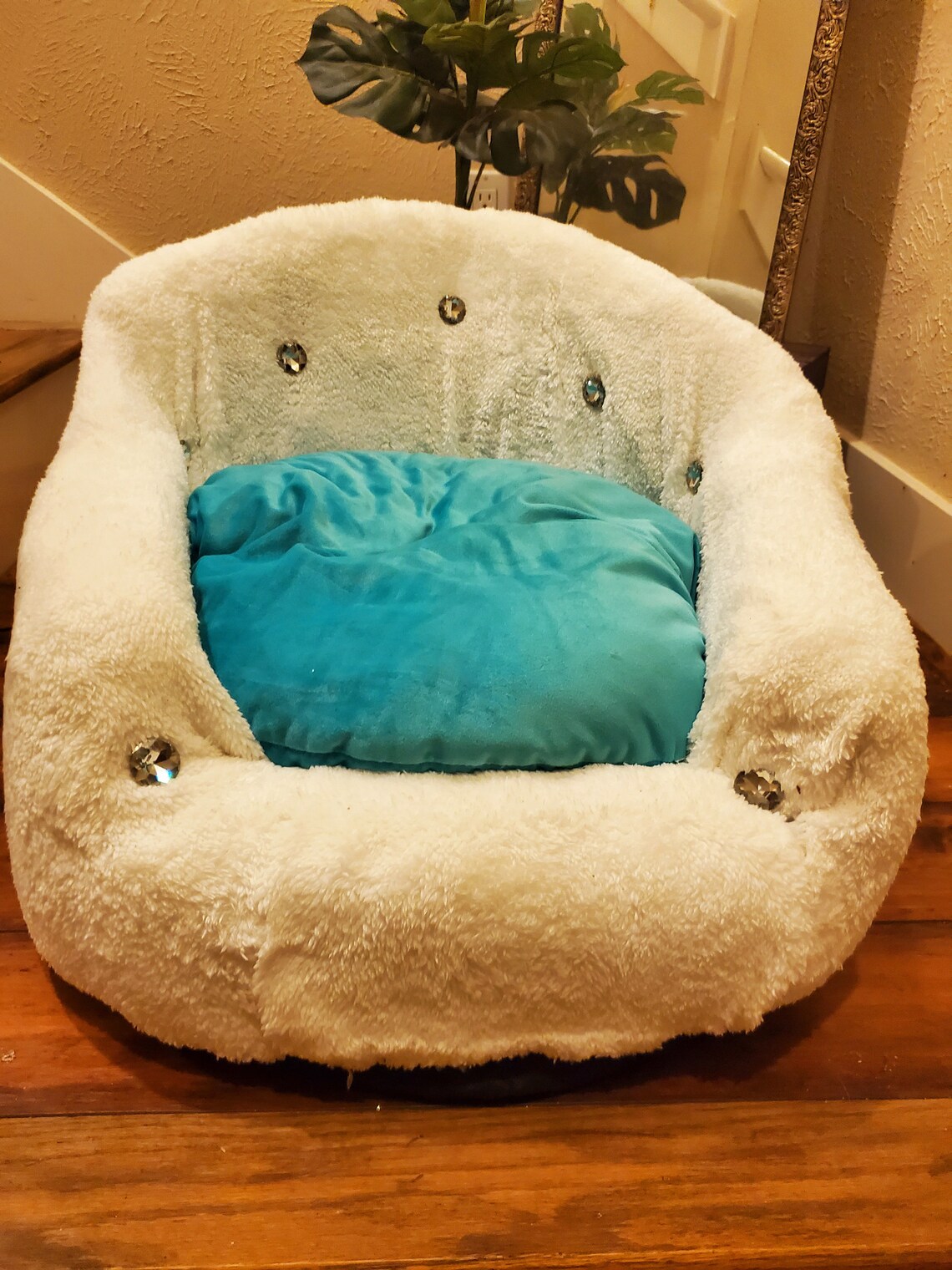 Luxury Pet Chair Luxury Dog Chair Luxury Cat Chair Pet Etsy