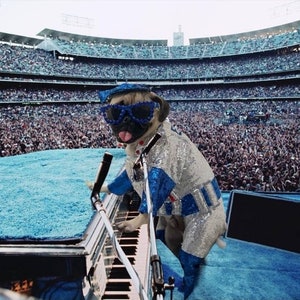 Réplica de Elton JohnDodger disfraz de mascota, disfraz de mascota de lentejuelas Dodger, disfraz de perro de Elton John, disfraz de mascota de Elton John, disfraz de mascota de béisbol de lentejuelas imagen 2