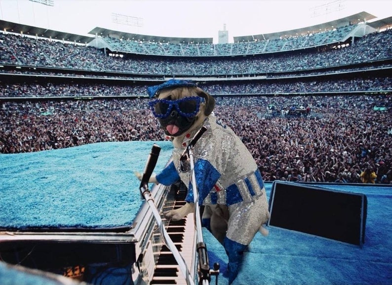 Réplica de Elton JohnDodger disfraz de mascota, disfraz de mascota de lentejuelas Dodger, disfraz de perro de Elton John, disfraz de mascota de Elton John, disfraz de mascota de béisbol de lentejuelas imagen 2