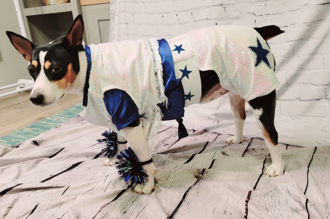 Dallas Cowboy Pet Cheerleading Costume, Dallas Cowboy Dog Cheerleading