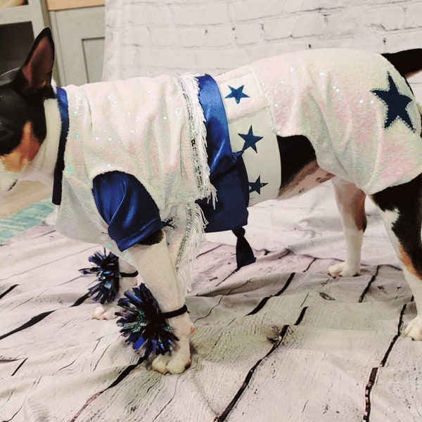 Dallas Cowboy Pet Cheerleading Costume, Dallas Cowboy dog cheerleading costume, Cowboy Pet cheerleader, Cowboy dog cheerleader