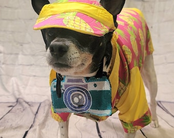 Pet tourist costume, dog tourist costume, pineapple pet shirt, Hawaiian pet costume clothing, male tourist costume, clothes for dogs