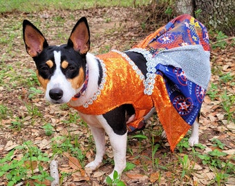 Astro Dog Clothes - Etsy