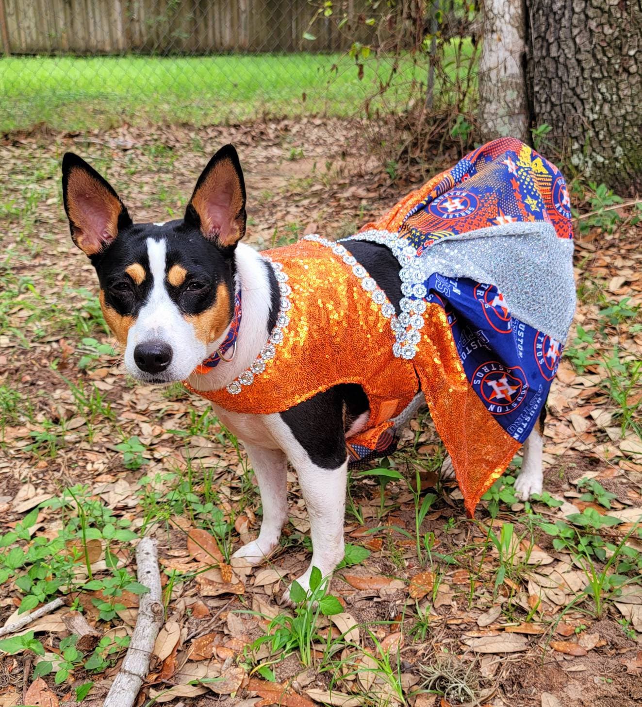 Houston Astros Feather Pet Dress Astros Feather Dog Dresses 