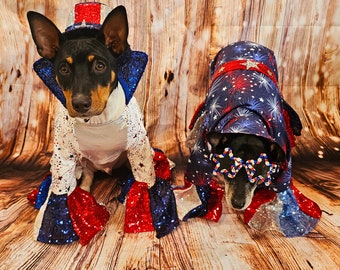 4th of July pet costume, July 4th pet costume, Independence day pet costume, red, white, and blue pet costume, 4th of July dog pet costume