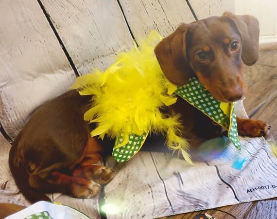 John deere dog sweater 2025