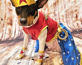 Costume da compagnia Wonder Women, costume da cane Wonder Women, costume da compagnia super eroe, costume da cane super eroe, costume da gatto Wonder Women, animale domestico di Halloween