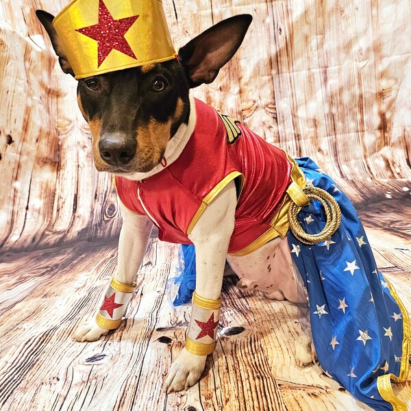 Wonder Women pet costume, Wonder Women dog costume, super hero pet costume, super hero dog costume, Wonder women cat costume, Halloween pet