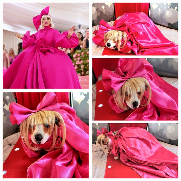 Lady Gaga pink pet costume, lady gaga dog costume, mutt gala pet costume, Lady Gaga pet Halloween costume, pet mett gala replica