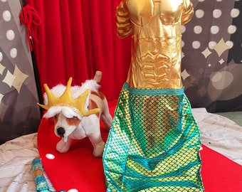 King Triton Pet Costume,  King Triton dog costume, Sea King pet costume, male mermaid pet costume, Sea King dog costume, male mermaid dog