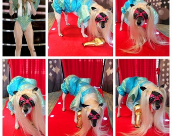 Lady Gaga Concert pet costume, Lady Gaga concert dog costume, Pop Singer pet costume, Halloween Pet Costume, Lady Gaga dog costume