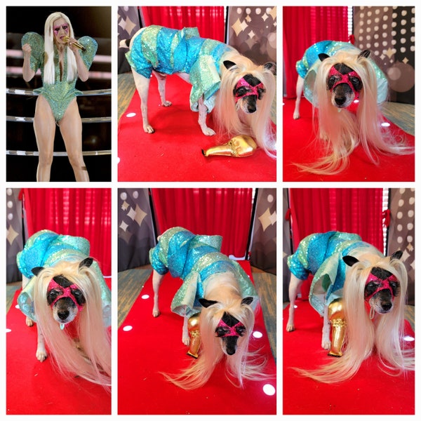 Lady Gaga Concert pet costume, Lady Gaga concert dog costume, Pop Singer pet costume, Halloween Pet Costume, Lady Gaga dog costume