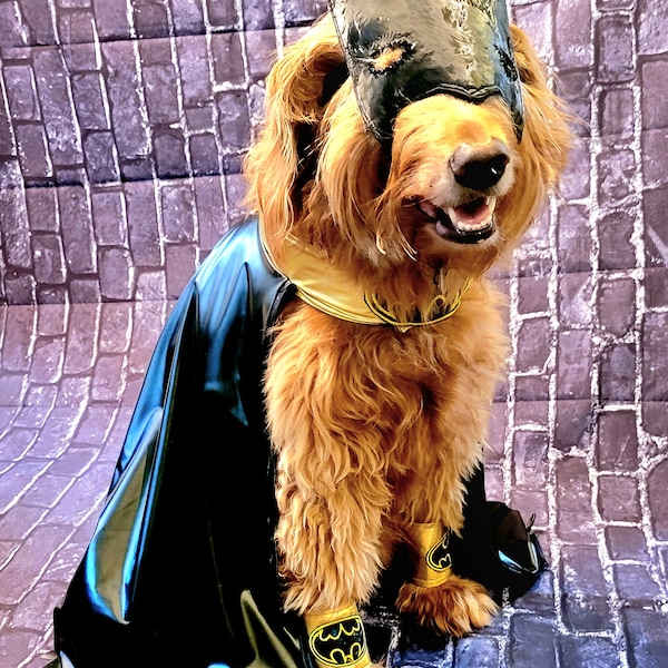 Batman pet costume, Batman dog costume, Batman cat costume, Batman pet cape, Batman Halloween costume, pet Batman, dog Batman costume