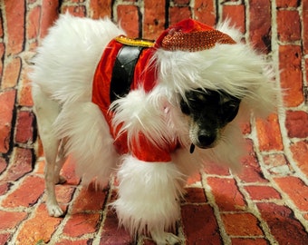 Pet Santa shirt and hat, santa dog shirt hat,  santa pet costume, santa cat costume, dog santa costume, Christmas pet costume,