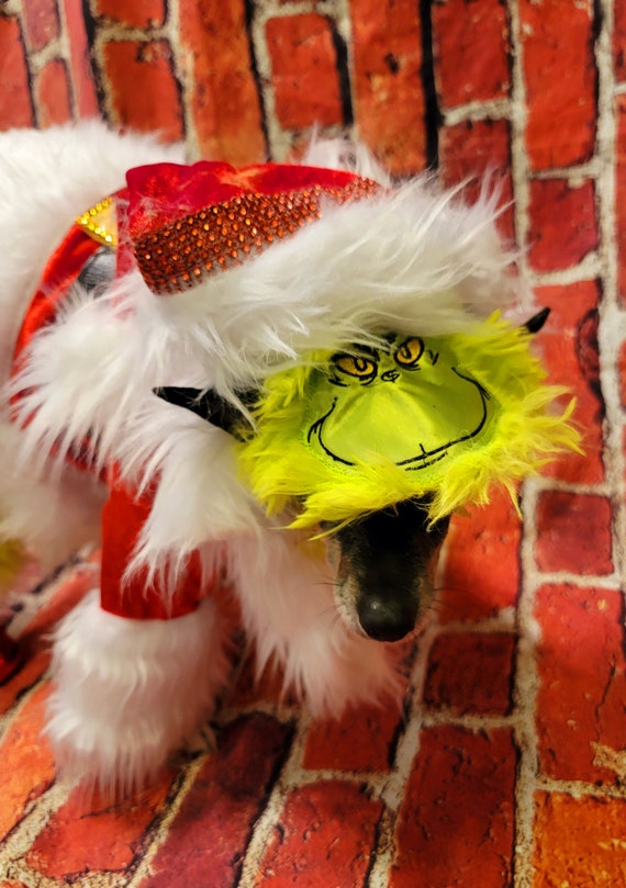 How the Grinch Stole Christmas Costume Accessories - Costume