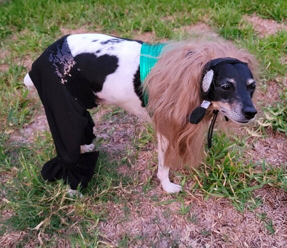 Britney Spears Pet Costume Replica Britney crazy Pet Costume Britney Green Pet Costume Britney Dog Costume Britney Spears Cat Costum Etsy