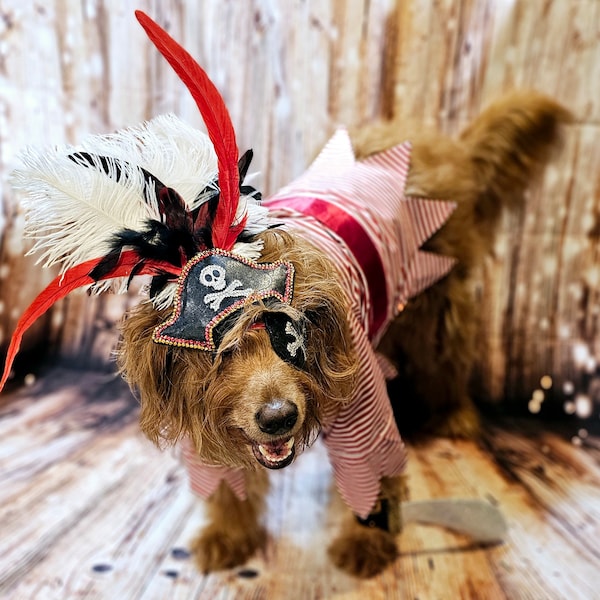 Pet Pirate male Costume, Dog Pirate Costume, Pirate pet costume, Pirate cat costume, Pirate pet shirt, Pirate dog shirt, Pirate pet costume