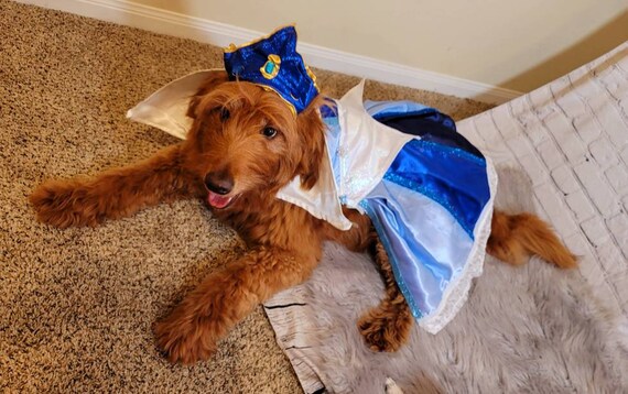 Belle costume for dogs hotsell
