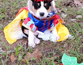 Snow White Pet Costume, Snow White Dog Costume, Snow White Cat Costume, Disney Pet Costume, pet dress Costume, Halloween Pet costume girls