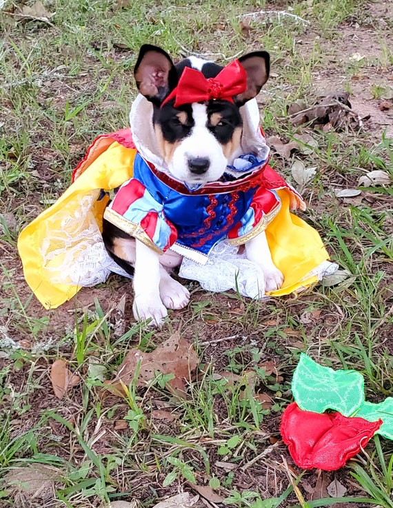 Costumes for white dogs hotsell