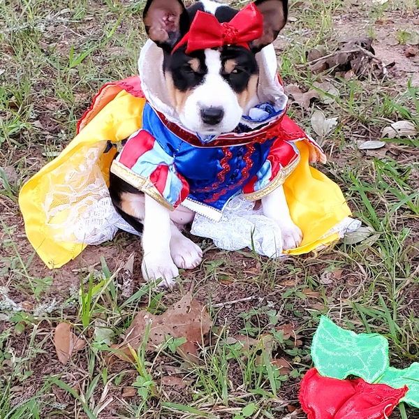 Snow White Pet Costume, Snow White Dog Costume, Snow White Cat Costume, Disney Pet Costume, pet dress Costume, Halloween Pet costume girls