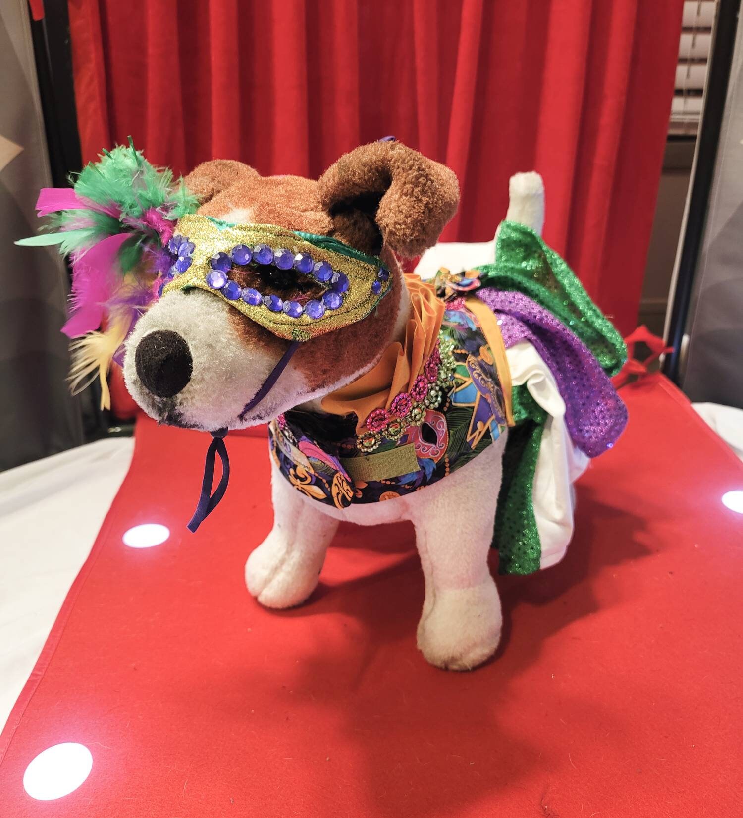 Dog mardi gras outfit sales