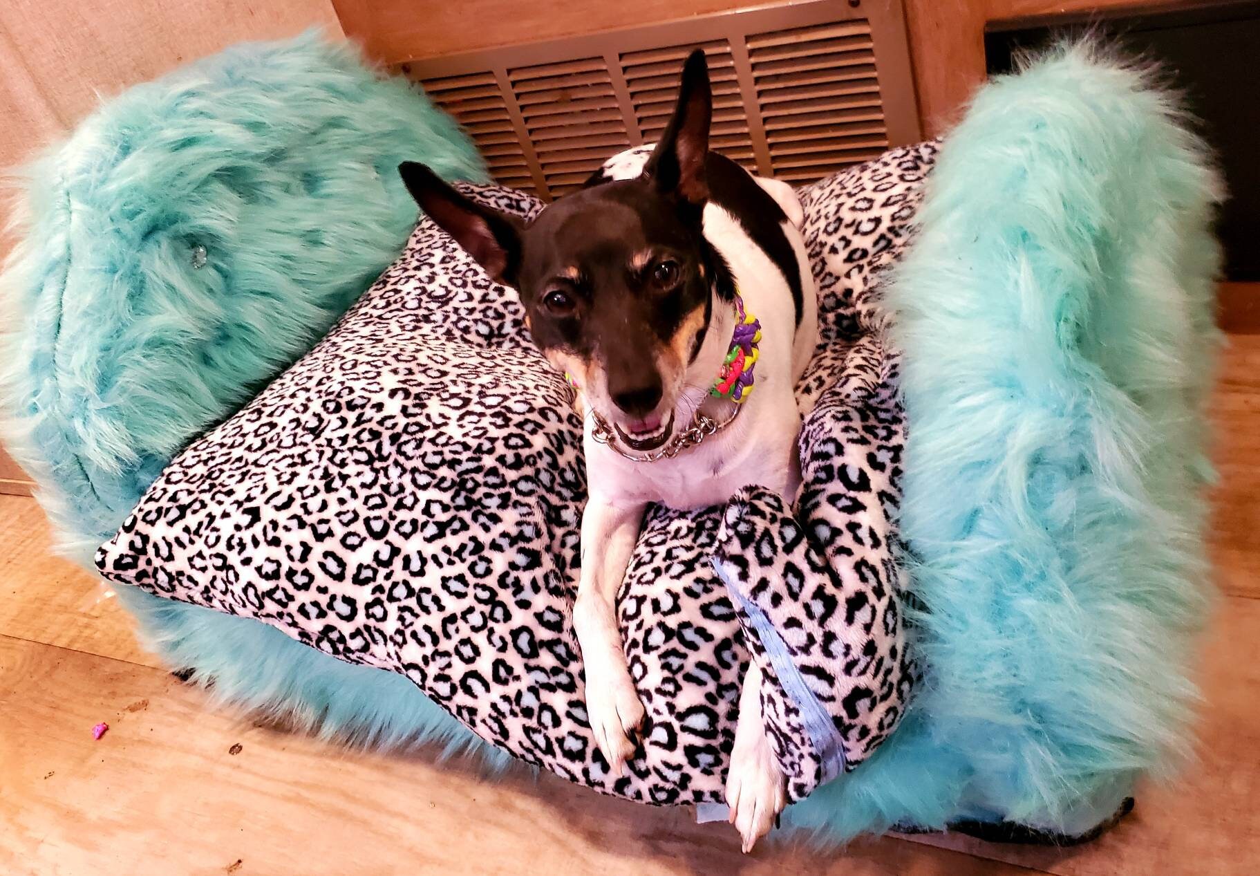 Headbord Pet Bed Headboard Cat Bed Headboard Dog Bed. Faux Etsy UK