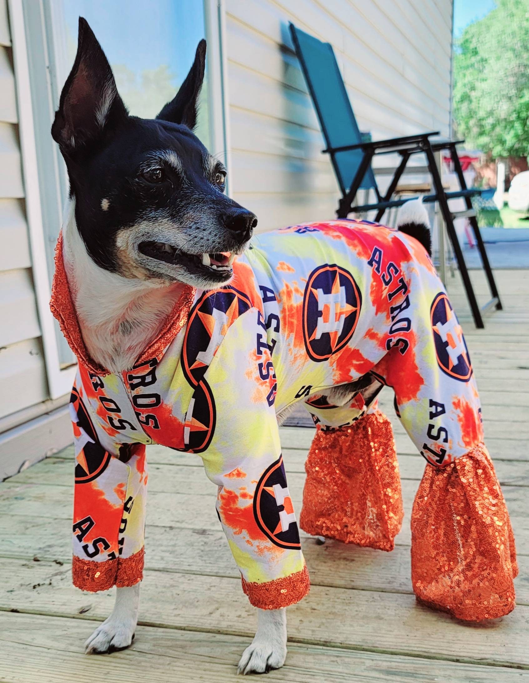 Houston Astros Pet Suit Astros Male Dog Suit Astros Pet Body 