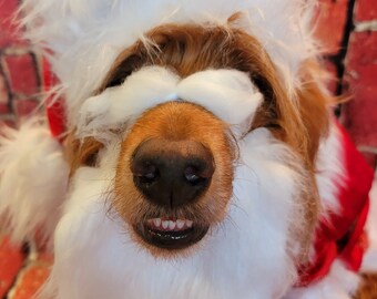 Dog santa hat and beard discount