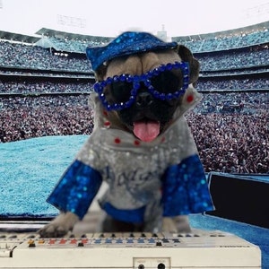 Elton John replicaDodger Pet Costume, Dodger sequin pet costume, Elton John dog costume, Elton John pet costume, sequin baseball pet costume image 3