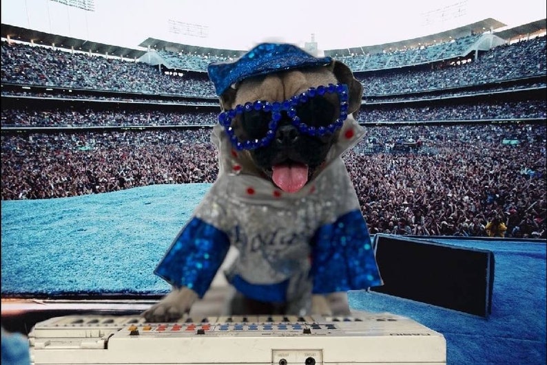 Elton John replicaDodger Pet Costume, Dodger sequin pet costume, Elton John dog costume, Elton John pet costume, sequin baseball pet costume image 3