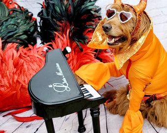 Elton John Rocketman Orange Devil Pet Costume, Elton John Rocketman bejeweled "Devil" pet dog cat costume, Orange Devil pet costume
